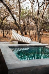 - un oreiller assis à côté d'une piscine d'eau dans l'établissement Minara Private Boutique Game Lodge, à Dinokeng Game Reserve