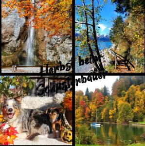un collage de cuatro fotos de diferentes lugares en Schusterbauer, en Koppl