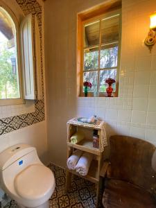 a bathroom with a toilet and a window at Loft del Rio in Cajon del Maipo