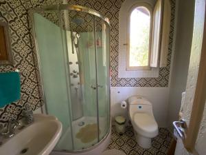 a bathroom with a shower and a toilet and a sink at Loft del Rio in Cajon del Maipo