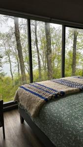 1 dormitorio con cama y ventana grande en Tiny House & Loft House en Panguipulli