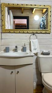 W łazience znajduje się umywalka i lustro. w obiekcie Tiny House & Loft House w mieście Panguipulli