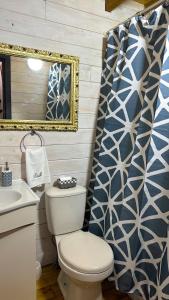 a bathroom with a toilet and a shower curtain at Tiny House & Loft House in Panguipulli