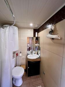 a small bathroom with a toilet and a sink at Садиба BETWEEN MOUNTAINS in Mizhhirya +65 photos