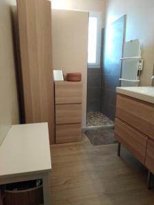 uma pequena casa de banho com um lavatório e um chuveiro em Appartement confortable centre ville em LʼIsle-sur-la-Sorgue