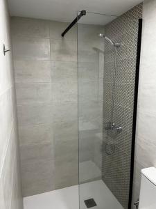 a shower with a glass door in a bathroom at Exyca Plaza Castilla in Madrid