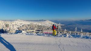 una persona in piedi sulla cima di una montagna innevata di Apartman TULANIE 58 Kamzik Donovaly 2 IZBOVY Mezonet Deluxe parkovanie v podzemnej garáži ZDARMA a Donovaly