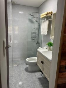 派三杜的住宿－RELAX II，带淋浴、卫生间和盥洗盆的浴室