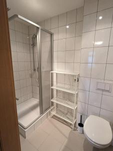a white bathroom with a shower and a toilet at Ferienwohnung 1 in Schlettau