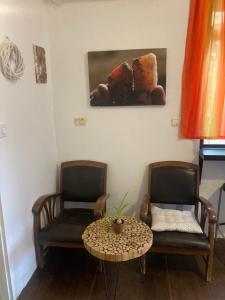een kamer met 2 stoelen, een tafel en een schilderij bij cozy room in Mitzpe Ramon