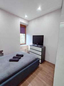 Schlafzimmer mit einem Bett und einem Flachbild-TV in der Unterkunft Apartament Blisko Centrum in Kielce