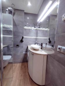 une salle de bains avec lavabo et toilettes dans l'établissement Apartament Blisko Centrum, à Kielce
