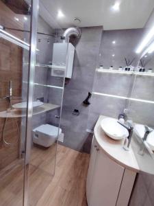 ein Bad mit einer Dusche, einem WC und einem Waschbecken in der Unterkunft Apartament Blisko Centrum in Kielce