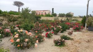 a garden filled with lots of different colored flowers at Casa delle rose in Sannicola