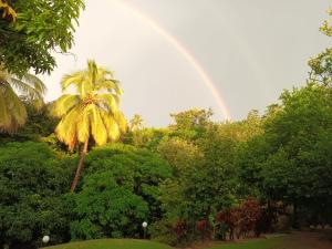 a rainbow in the sky with a palm tree at Finca de Nosotros in Bonda