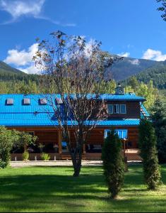 a large wooden house with a blue roof at Cougar Mountain Cabin Rentals in Valemount