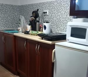 a kitchen with a counter top with a microwave at Studio Happy Montenegro in Krašići