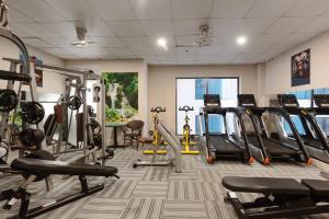 Fitness centrum a/nebo fitness zařízení v ubytování S Lux Apartment Virgo