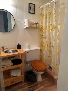 a bathroom with a toilet and a sink and a shower curtain at House in El Chalten