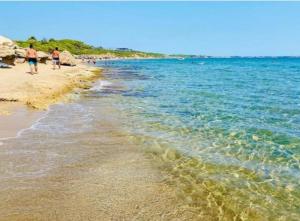 Naturlandskabet i nærheden af lejligheden