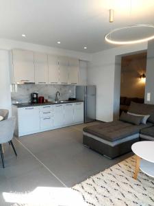 Square Apartments في تريكالا: غرفة معيشة مع أريكة ومطبخ
