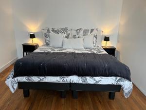 1 dormitorio con 1 cama grande con almohadas y 2 lámparas en Un Petit Château, en Lauzun