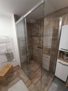 a shower with a glass door in a bathroom at Appartement spacieux &très calme. Spacious & very quiet apartment. in Carros