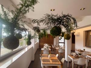 un restaurante con mesas, sillas y plantas en Moma Hotel Wellness & Spa en Lavello