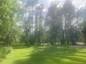 ein großes grünes Feld mit Bäumen im Hintergrund in der Unterkunft Cougar Mountain Cabin Rentals in Valemount