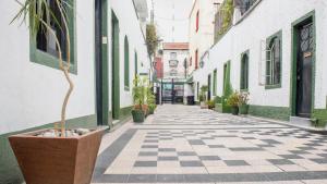 um beco vazio com vasos de plantas e edifícios em Charming House at Roma em Cidade do México
