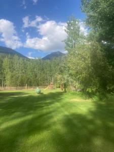 a large green field with a tree and mountains in the background at Cougar Mountain Cabin Rentals in Valemount