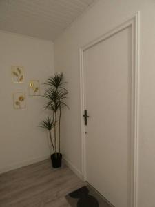a hallway with a door and a potted plant at Studio au coeur de Saint Quentin en Yvelines in Trappes