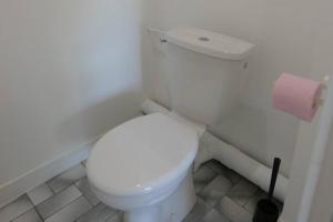a white toilet in a bathroom with a roll of toilet paper at Studio au coeur de Saint Quentin en Yvelines in Trappes