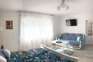 a living room with a blue couch and a table at Casa cu trandafiri in Baia Mare