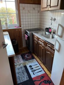 Eine Küche mit Spüle und einem Küchenteppich auf dem Boden. in der Unterkunft Rowianka in Rowy