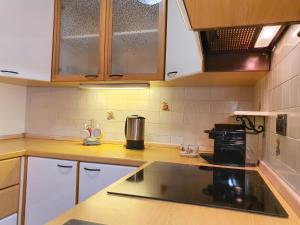 Kuchyň nebo kuchyňský kout v ubytování ElvesHome - Alpine Stay Apartments