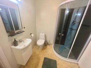 La salle de bains est pourvue de toilettes, d'un lavabo et d'une douche. dans l'établissement Apartment-B near Etne-Odda, à Etnesjøen