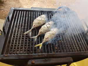 um grupo de peixes a cozinhar numa grelha em Eighth Wonder Resort em Sigiriya