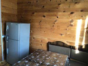 ゼクヒズジョリにあるJoni's Cottageの木製の壁の客室内の冷蔵庫