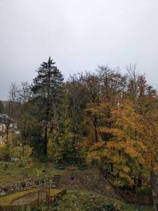 a group of trees on a hill with a fence at Le nid in La Bourboule +3 photos