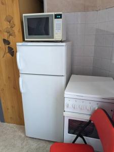 a microwave on top of a refrigerator next to a stove at Le nid in La Bourboule