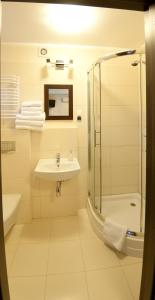 W łazience znajduje się umywalka i prysznic. w obiekcie Villa Pallas w Gdańsku