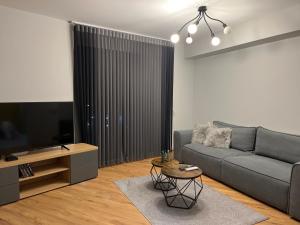 a living room with a gray couch and a television at 7Mins City Garden and Center+P in Plovdiv