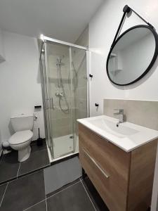 ein Bad mit einer Dusche, einem Waschbecken und einem Spiegel in der Unterkunft Studio en centre ville + wifi in Labruguière