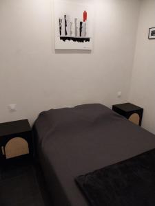 een slaapkamer met een bed en een foto aan de muur bij Le Rubis in Gruissan