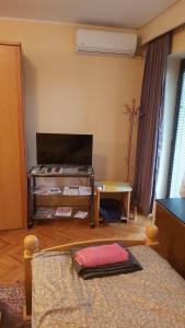 TV a/nebo společenská místnost v ubytování Soba Sekulić
