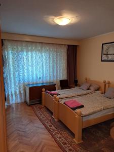 a bedroom with two beds and a large window at Soba Sekulić in Sombor
