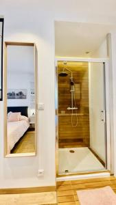 La salle de bains est pourvue d'une douche et d'un miroir. dans l'établissement Saint-Maurice face au bois de Vincennes, à Saint-Maurice