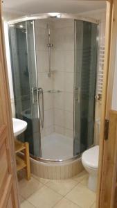 een badkamer met een douche en een toilet bij Willa Szarotka in Rabka