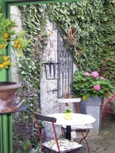 Zahrada ubytování Pension Reuss - Hotel garni